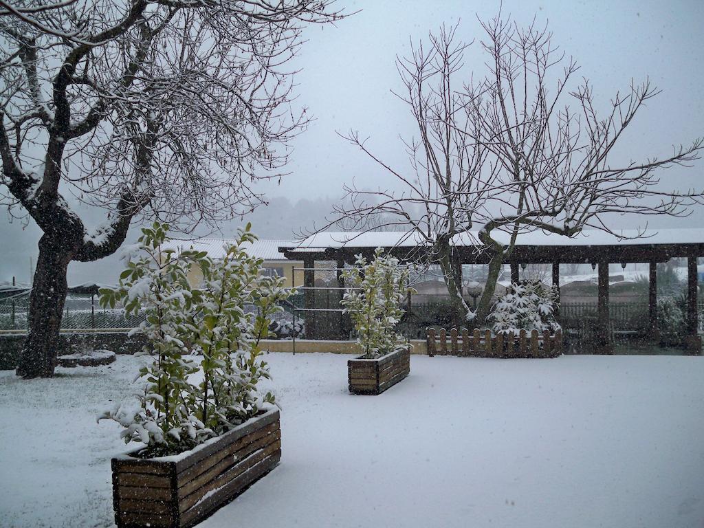 B&B Il Pantanello Rocca Di Papa Bagian luar foto