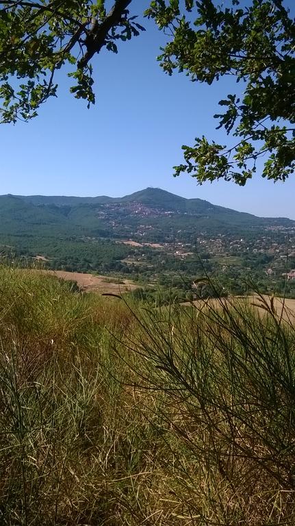 B&B Il Pantanello Rocca Di Papa Bagian luar foto