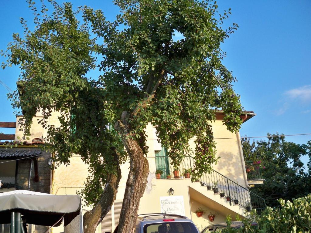 B&B Il Pantanello Rocca Di Papa Bagian luar foto